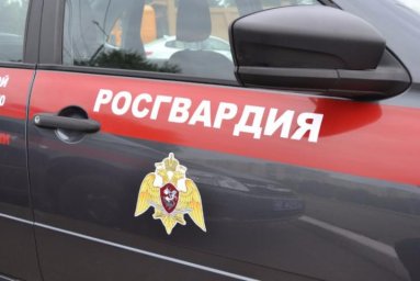 В СВЕРДЛОВСКОЙ ОБЛАСТИ РОСГВАРДЕЙЦЫ ЗАДЕРЖАЛИ АВТОУГОНЩИКА