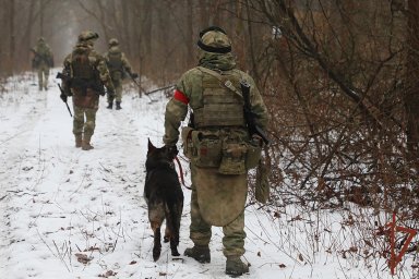 С начала года Росгвардия обезвредила в ЛНР около 4 тысяч взрвоопасных предметов