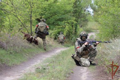 Росгвардейцы нашли схрон с оружием и боеприпасами в подвале дома в ЛНР