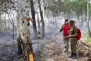 Росгвардейцы продолжают оказывать содействие в тушении пожара в Зауралье