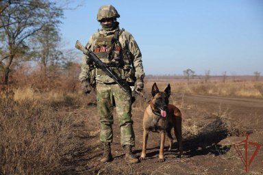 Росгвардейцы в ДНР за сутки обнаружили четыре схрона ВСУ