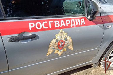 В Курганской области патруль Росгвардии задержал подозреваемого в краже