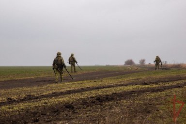 Саперы Росгвардии в Херсонской области уничтожили найденный рядом с жилыми домами боеприпас