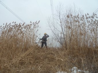 Филиал ПАО «Россети» повысит пожарную безопасность магистральных ЛЭП в Рязанской области